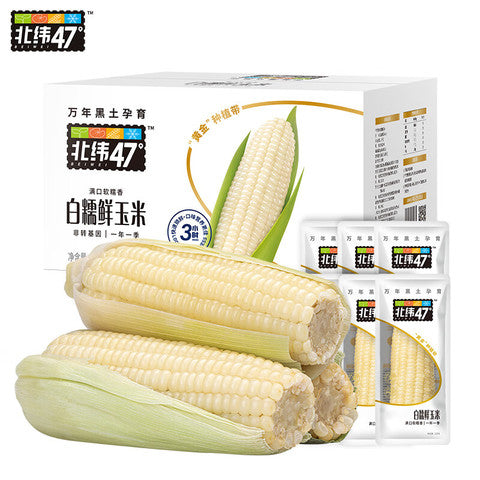 北纬47度白甜糯玉米礼盒10支装